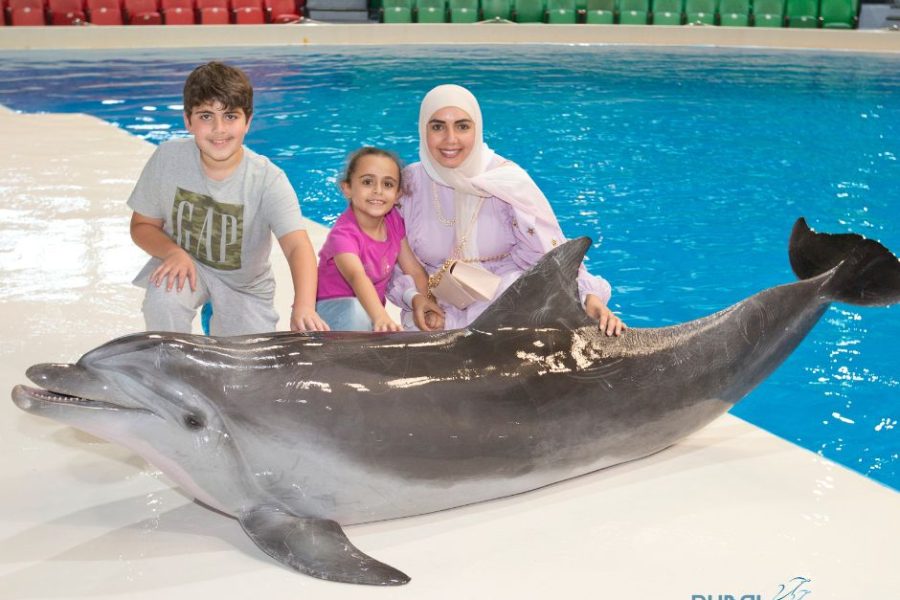 Dubai Dolphinerium – Dolphin & Seal Show Regular Tickets