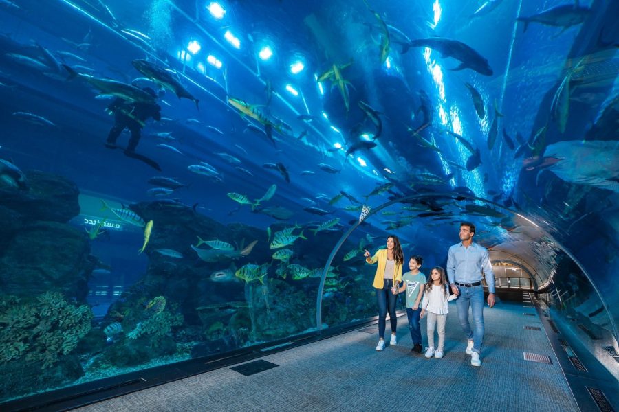 Dubai Aquarium and Underwater Zoo