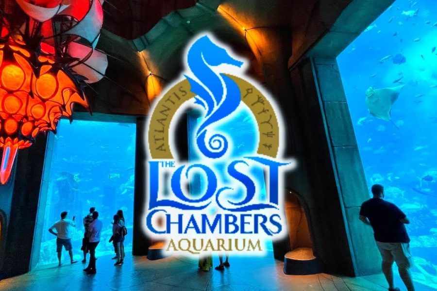 Atlantis Lost Chambers Aquarium